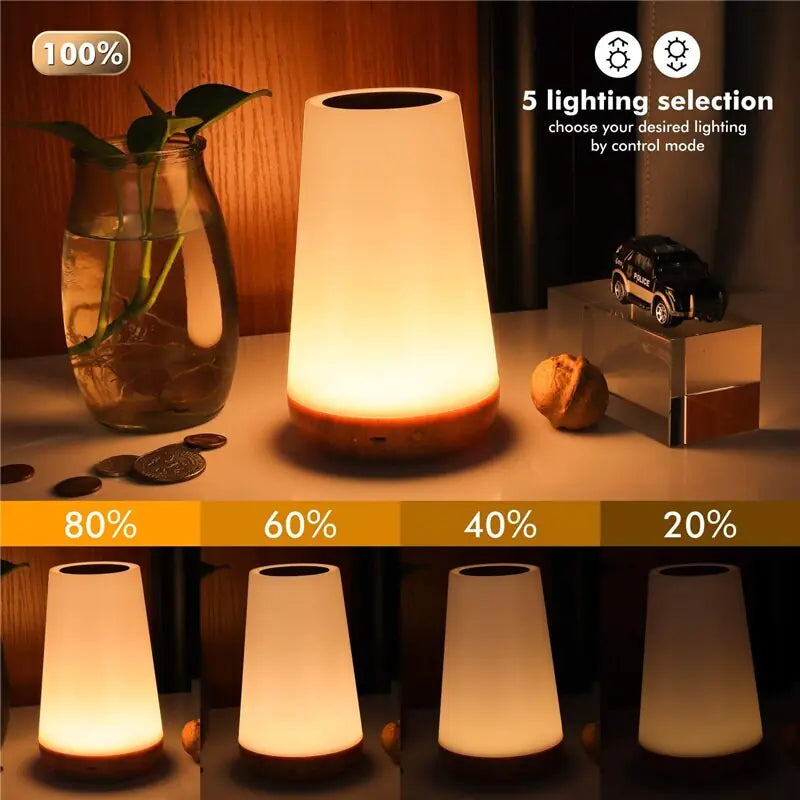 Portable Night Lamp