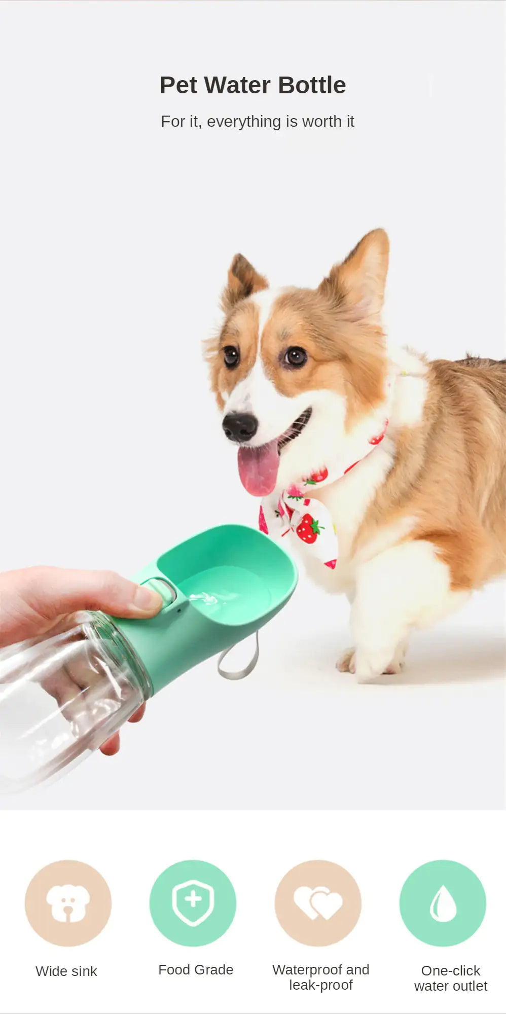 Portable Drinking Bottle